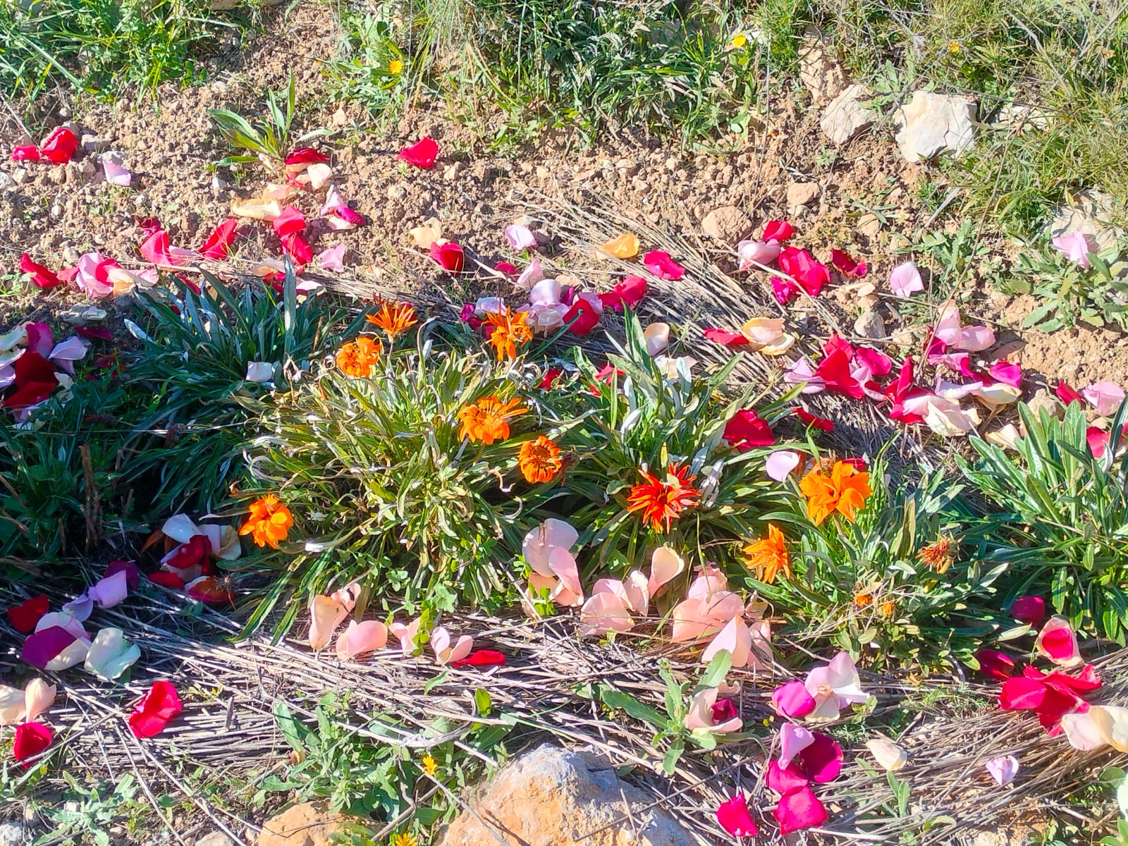 ofrenda_tierra